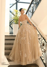 Load image into Gallery viewer, LUX017