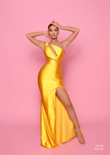 Load image into Gallery viewer, NP148