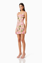 Load image into Gallery viewer, Aella Mini