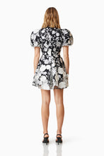Load image into Gallery viewer, Selene Mini Dress