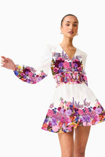 Load image into Gallery viewer, Alice Long Sleeve Mini