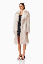 Load image into Gallery viewer, Tansy Coat