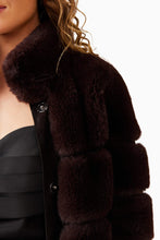 Load image into Gallery viewer, Daphne Coat