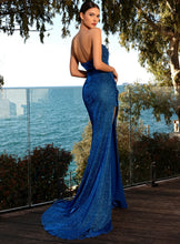 Load image into Gallery viewer, NC2010