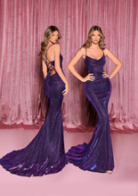 Load image into Gallery viewer, NC3047