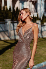 Load image into Gallery viewer, TW029 Tina Holly