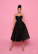 Load image into Gallery viewer, NP145