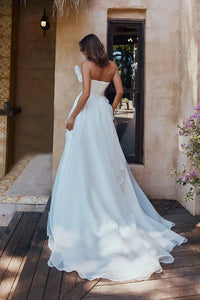 TC2338 Cora