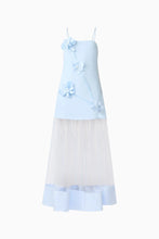 Load image into Gallery viewer, Reina Applique Gown in Sky Blue
