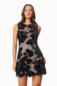 Zara Mini Dress